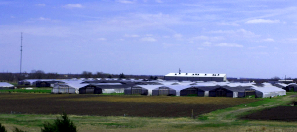 Greenhouses
