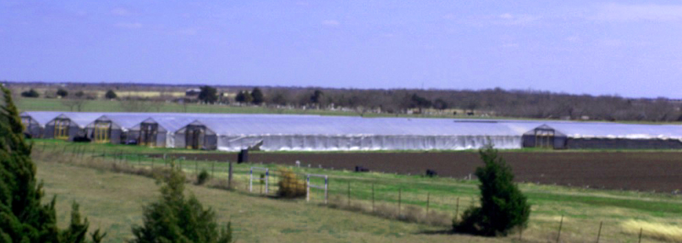 Greenhouses, from the rise